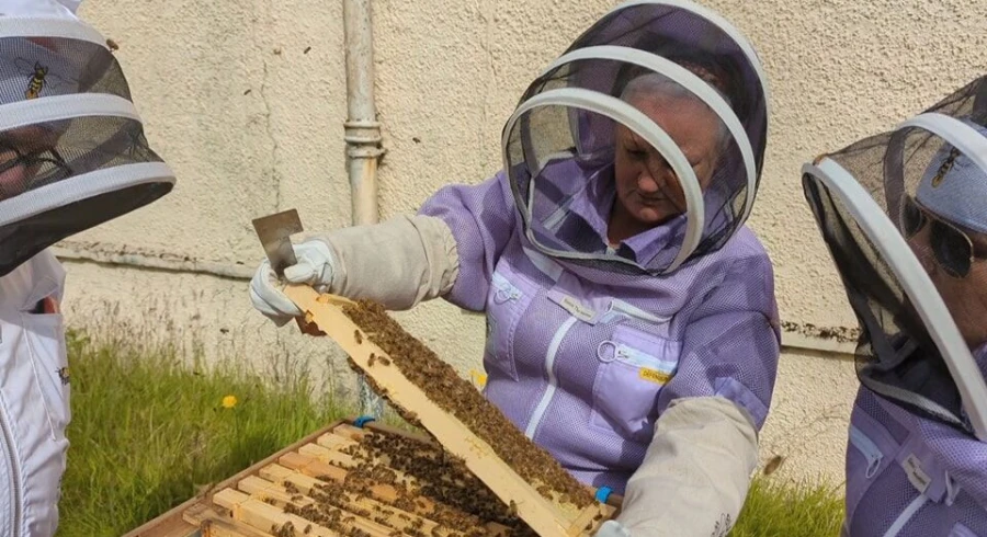 Beekeeping